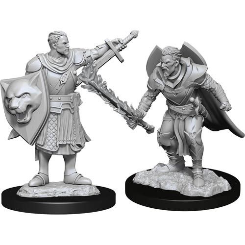 Pathfinder Deep Cuts - Male Human Champion